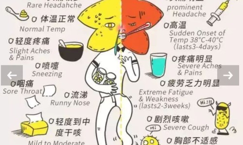 八月札最忌三种药-八月札禁忌与相克网 :分享八月札主治什么病最好-八月札配伍最佳搭配知识