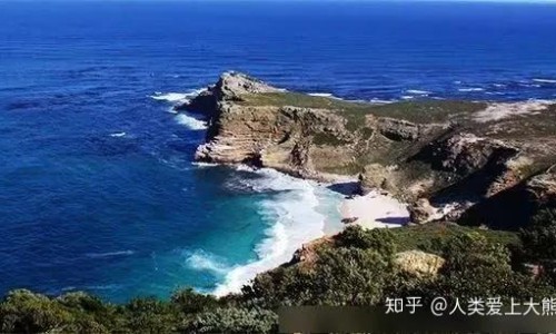 八月札十大禁忌-八月札禁忌与相克网 :分享八月札主治什么病最好-八月札配伍最佳搭配知识