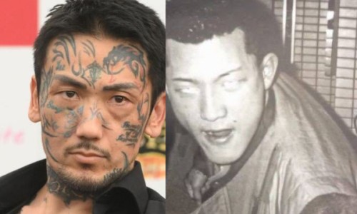 八月札禁忌与相克网 :分享八月札主治什么病最好-八月札配伍最佳搭配知识